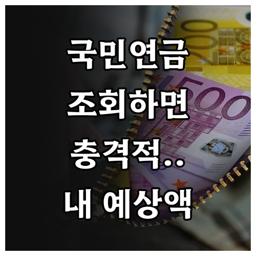 국민연금 지역가입자 납부 조회 내역 ..