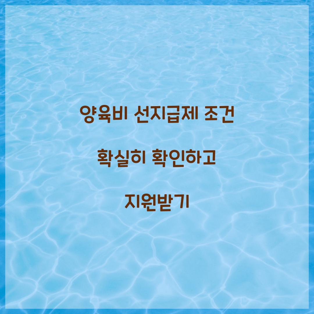 양육비 선지급제 조건