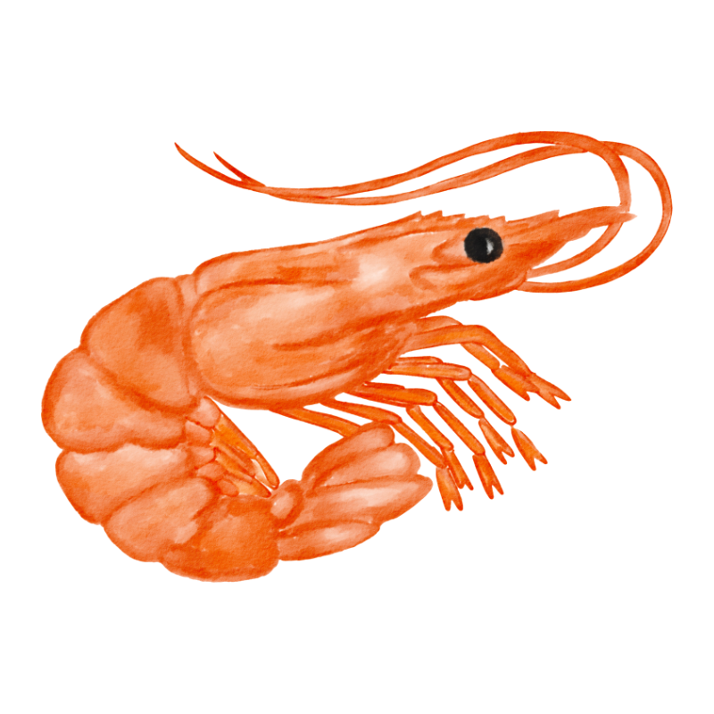 칼슘