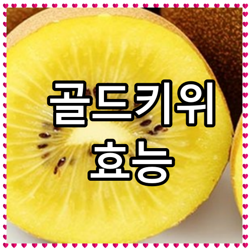 골드키위 효능