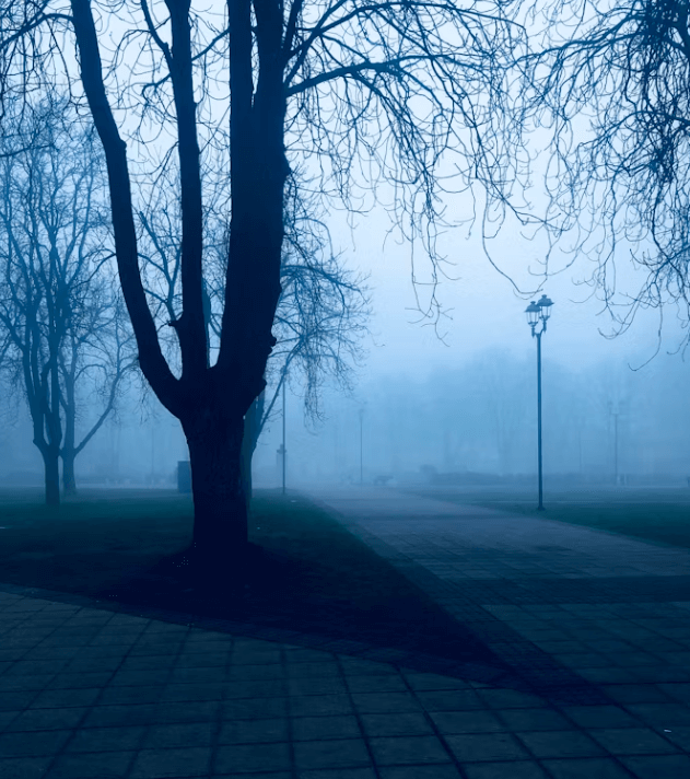 강추위 아침 혈압 스파이크&#44; 혈관 지키는 3가지 방법