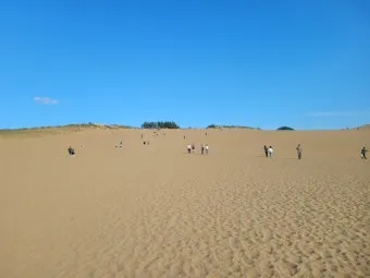일본 돗토리 여행코스 3박 4일 일정 및 필수 관광지 추천_10