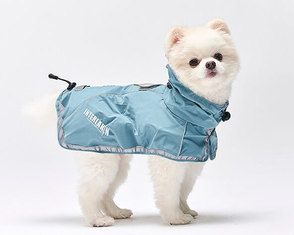 강아지 우비의 구매, 사용, 유지 보수