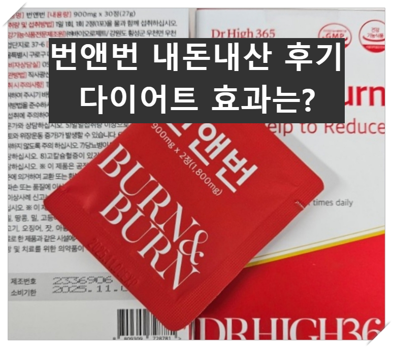 번앤번 내돈내산 후기, 다이어트 효과는