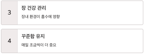 비타민K 장 건강 관리