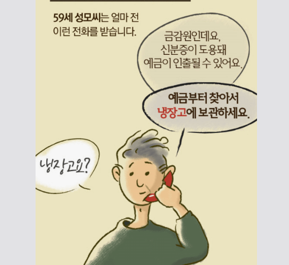 보이스피싱 시티즌코난 금감원 지킴이