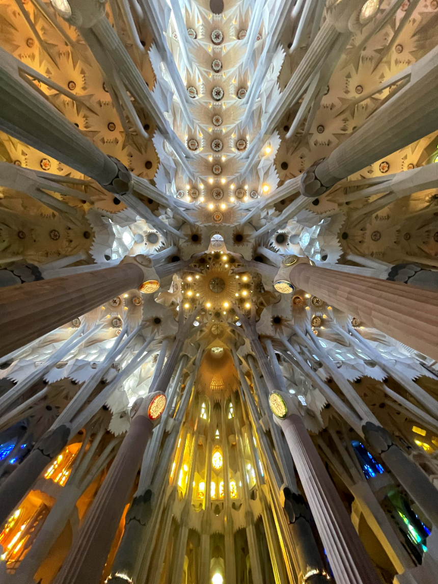 사그라다 파밀리아 대성당 실내 천정
