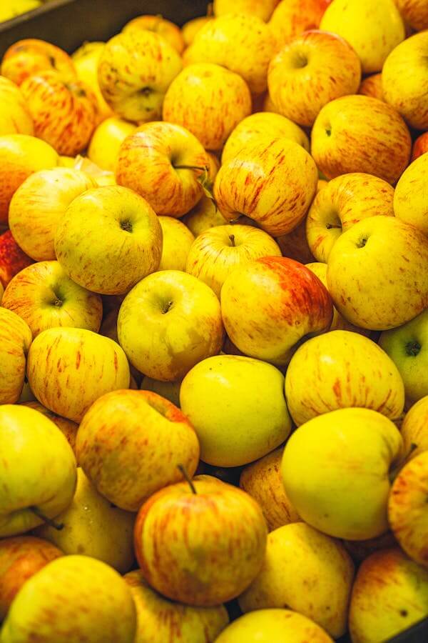 2025년농식품바우처