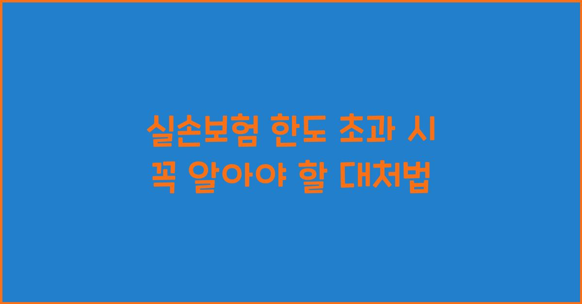 실손보험 한도 초과
