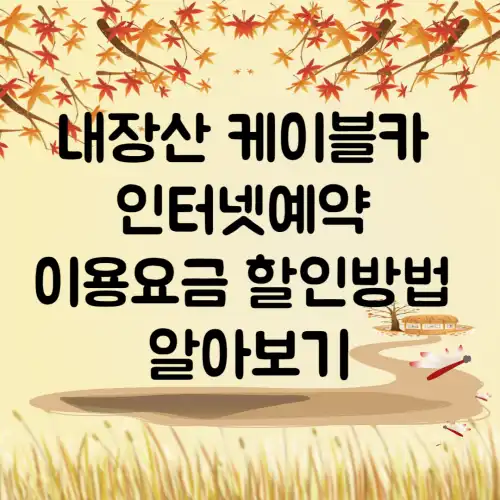 내장산-케이블카-인터넷예약-이용요금-운행시간-알아보기