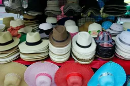 여름철 온열질환 발생 추이 기후 변화 연관성