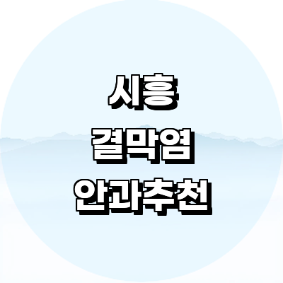 시흥시 안과