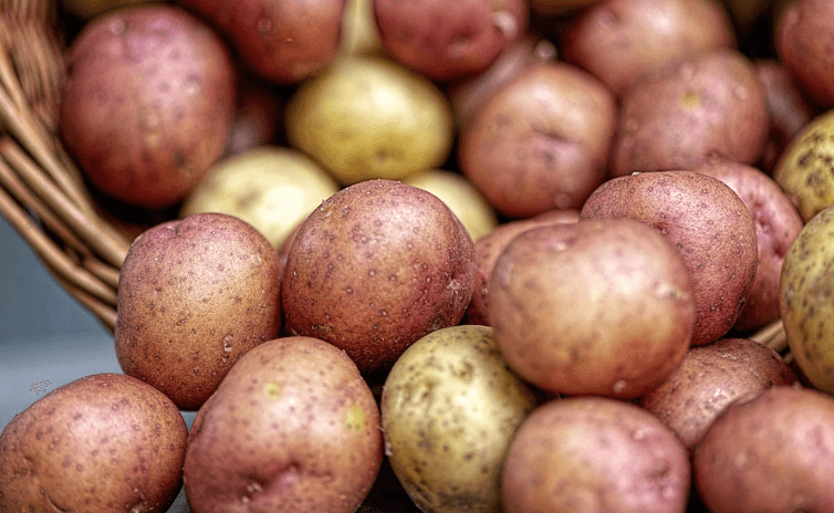 위에 좋은 음식