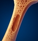 마그네슘이 풍부한 음식