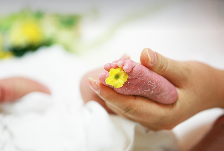 아기 발을 손으로 잡고 있는 사진