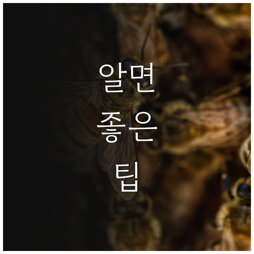 2025 공공형 어린이집 무엇 지원 ..