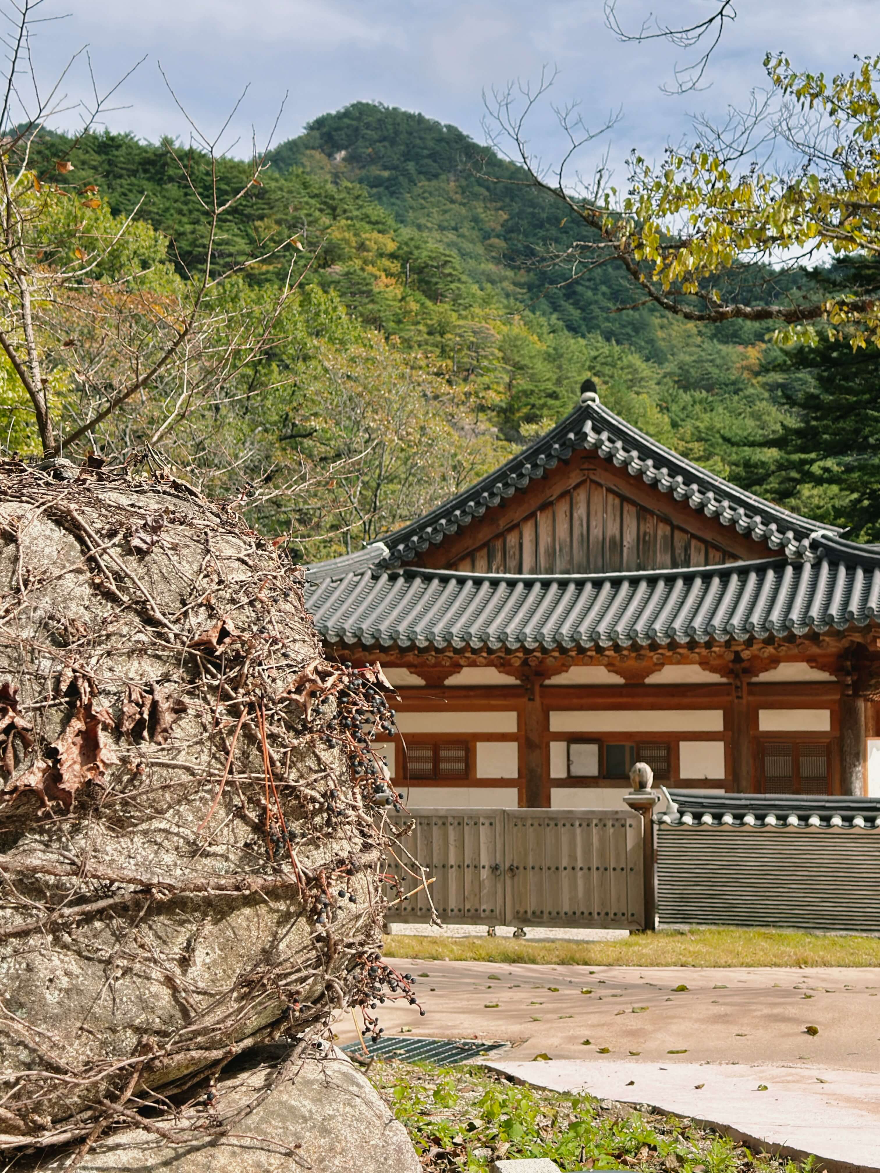 한국 100대명산 지도