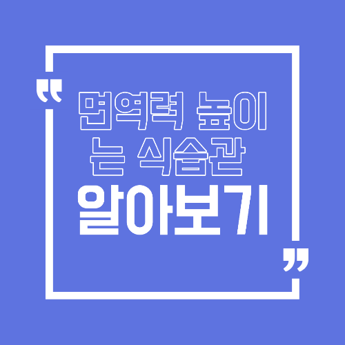 면역력 높이는 식습관 매일 식사에서 실천하는 기본 원칙