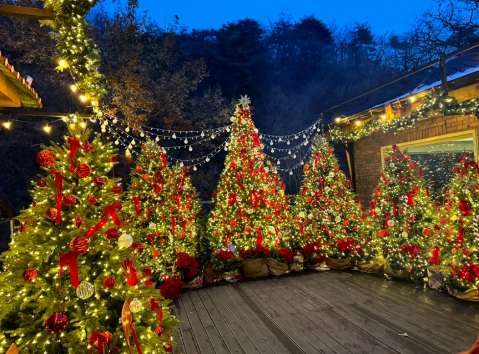 크리스마스/분위기/핫플/카페