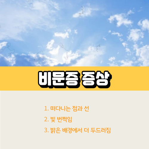 비문증증상
