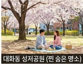 일산 벚꽃
