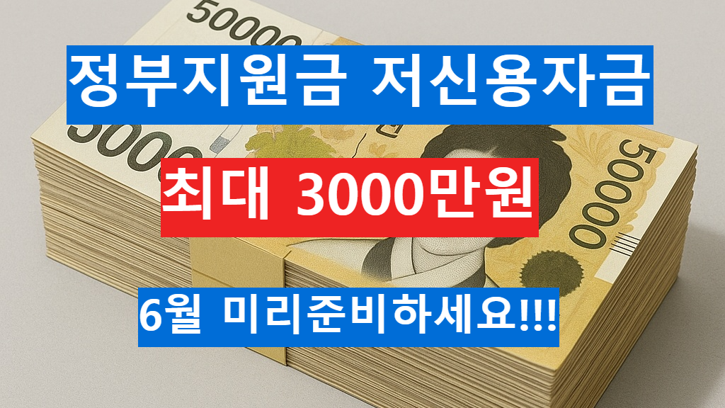 정부지원 저신용 지원금