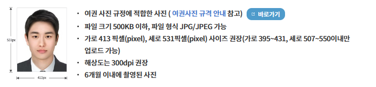 여권 재발급 온라인 신청 (준비물, 기간)