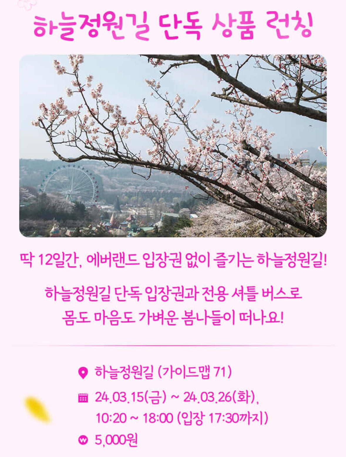 에버랜드 하늘정원길 매화 명소 입장권 구매 이용 주차 방법