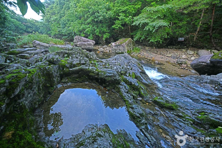 장성 가볼만한곳 베스트10