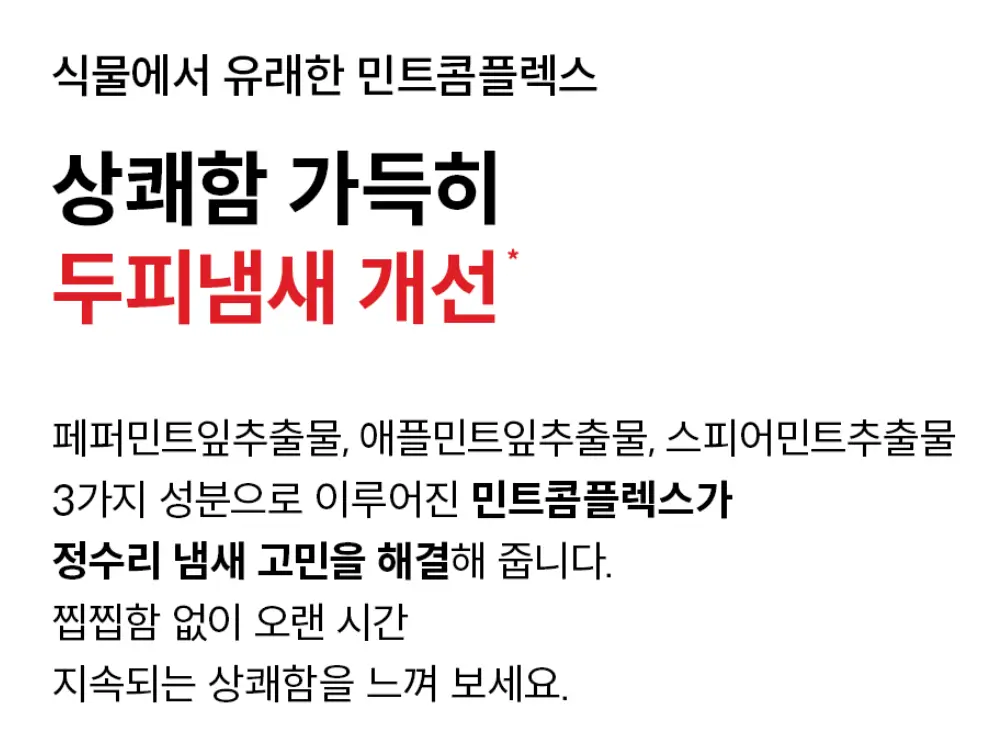 사진11