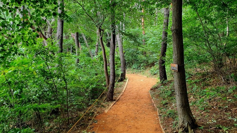 하루 30분 걷기, 당뇨병 사망 위험 낮춘다! 운동으로 혈당 관리하는 과학적 방법 관련 사진