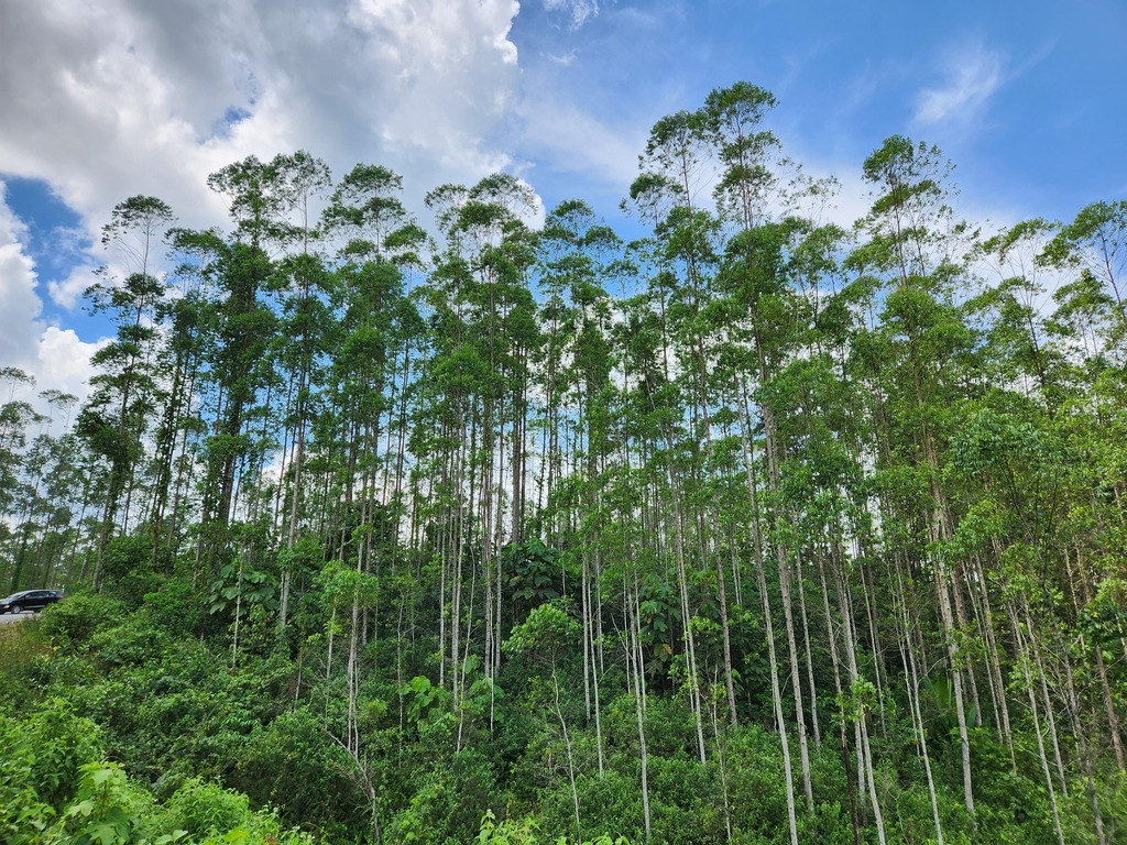 자카르타 근교 여행