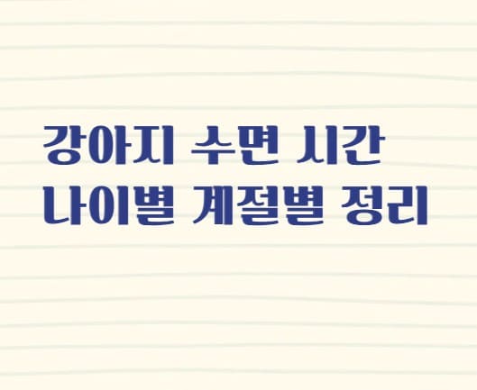 제목썸네일사진