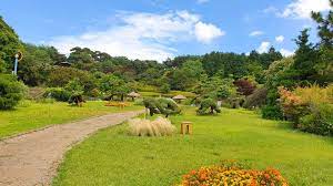  안면도 가볼 만한 곳 BEST 10