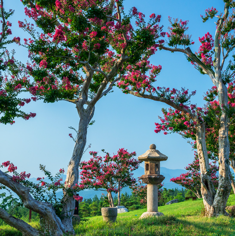 대구 군위 사유원 관람 예약