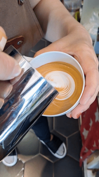 망친 윙튤립 움짤 두번째