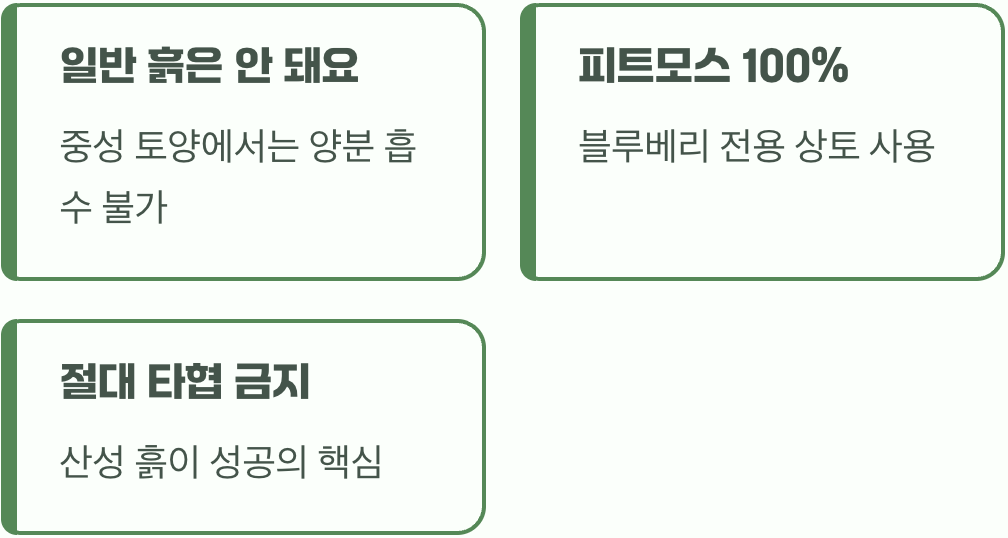 블루베리 재배의 가장 큰 비밀, 흙