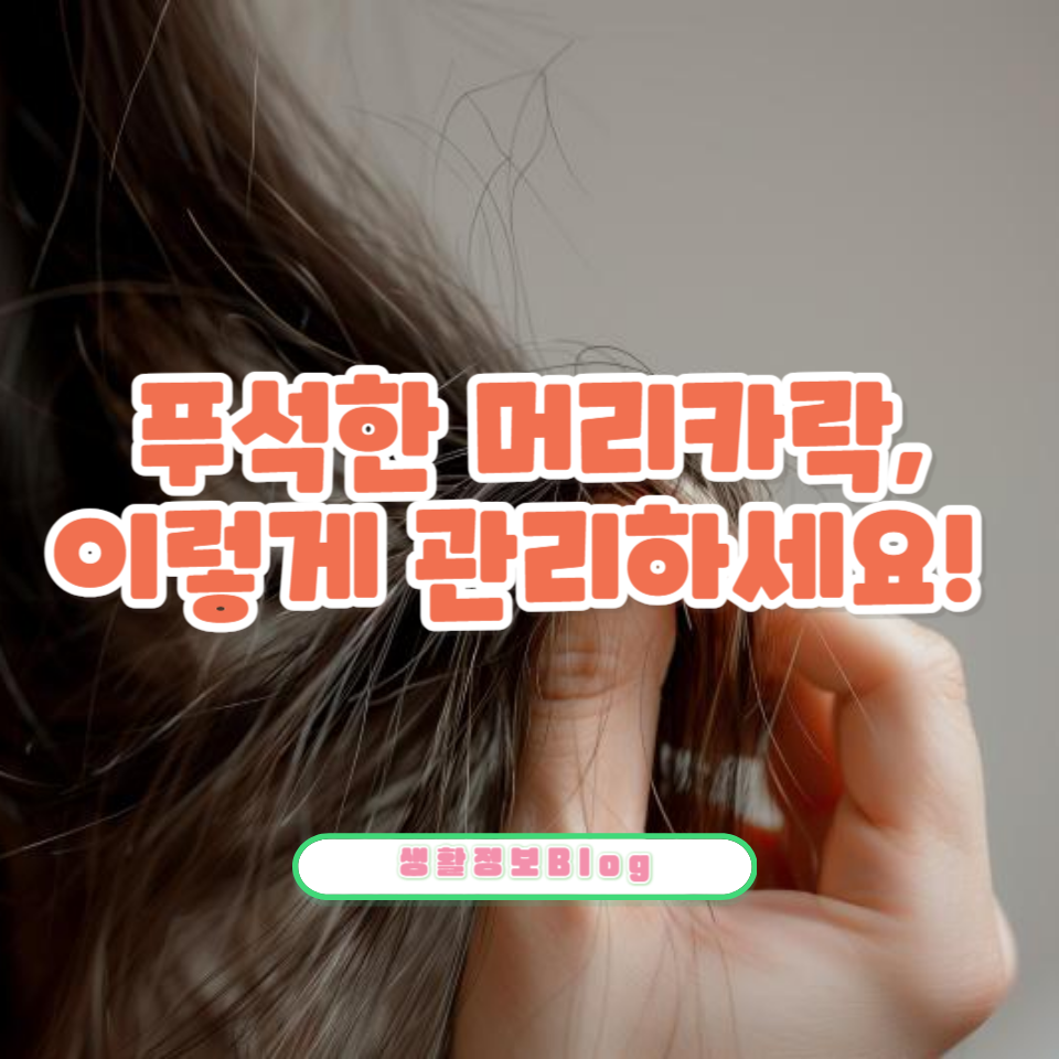 푸석푸석한 머리카락이 고민!