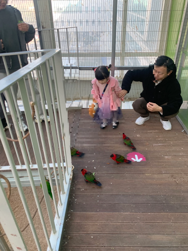 오산버드파크 할인 입장료 및 주차장 가족 여행 후기