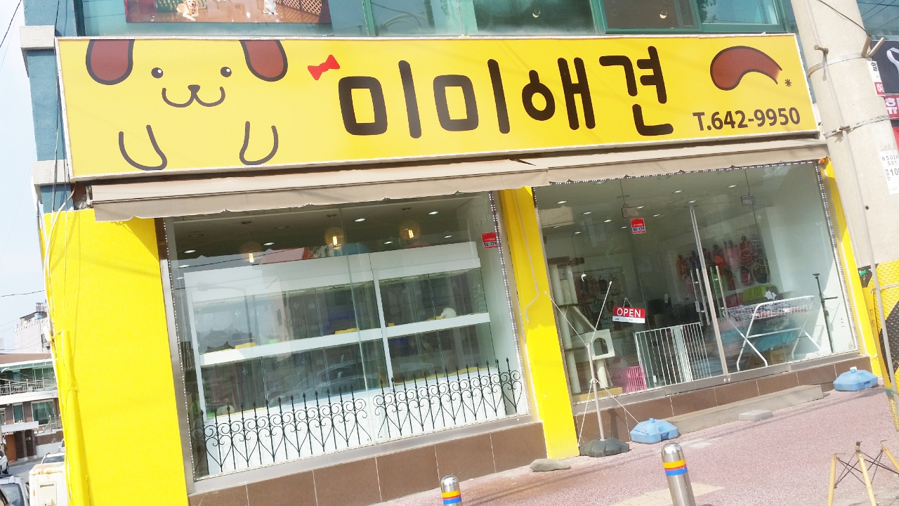 미미애견