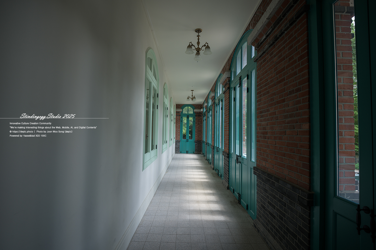 #서울 #대한제국 #덕수궁 #궁궐 #배롱꽃