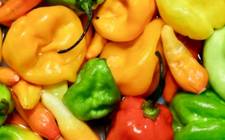 근감소증 자가진단 근감소증에 좋은 음식 치료제 예방 운동 증상 검사