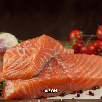 비타민b12가 많은 음식