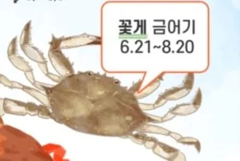 6월 꽃게 금어기 정확한 일정과 유통 제한 상세 정보 총정리_21