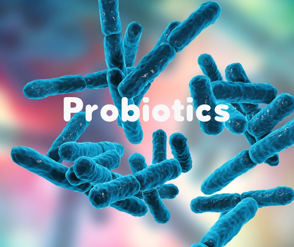 ADHD 프로바이오틱스1