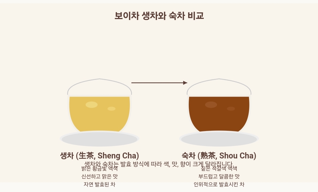 왼쪽: 생차의 밝은 황금빛 액색, 오른쪽: 숙차의 짙은 적갈색 액색