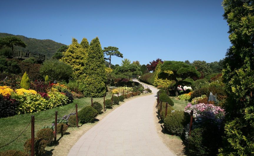 아침고요수목원 사진