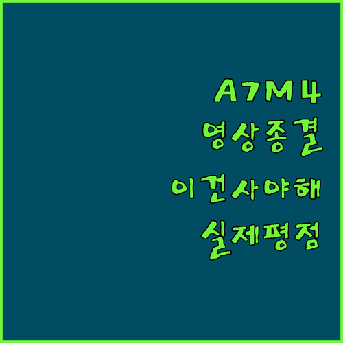 소니 A7M4 카메라 특징과 영상 촬..