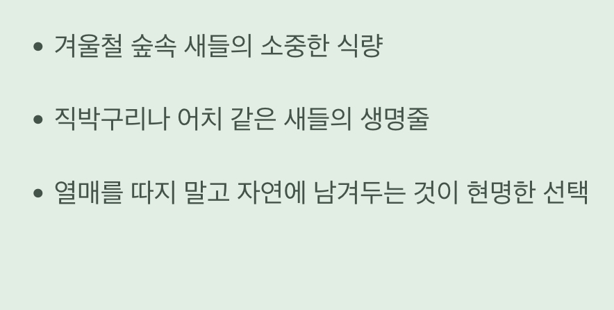 새들에게는 최고의 겨울 진수성찬