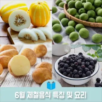 여름 준비는 건강한 식탁에서 6월 제철 음식 리스트 완벽 총정리_6